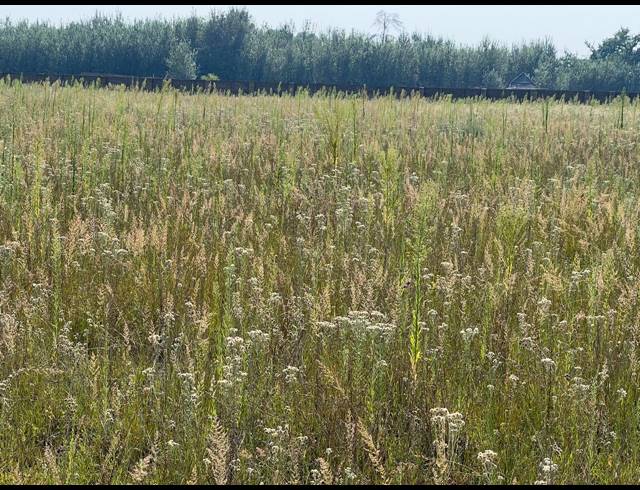 108,000M² VACANT LAND FOR SALE IN WONDERWATER